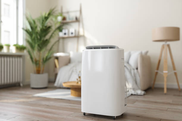 Best Heating Repair Services  in Mount Dora, FL